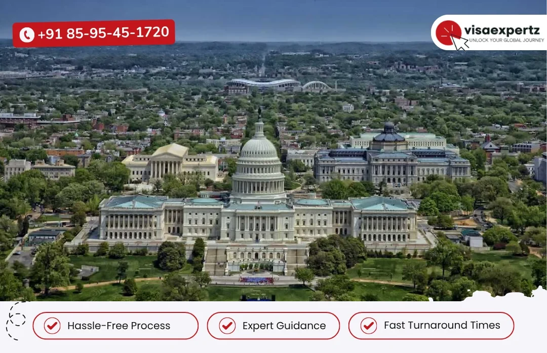 USA visa services