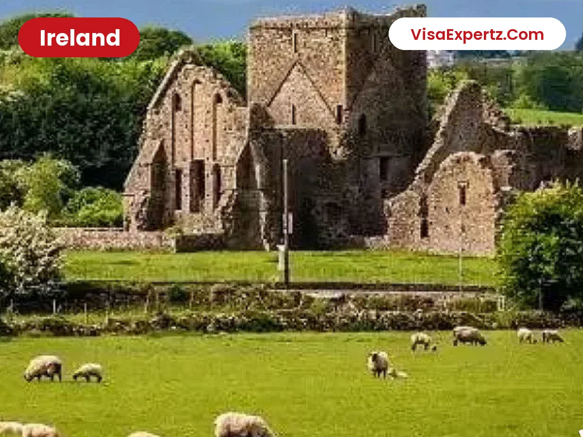 Ireland Visa from India: Complete Guide, Documents & Photo Specification