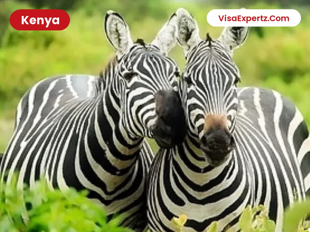 Kenya Visa from India: Complete Guide, Documents & Photo Specification
