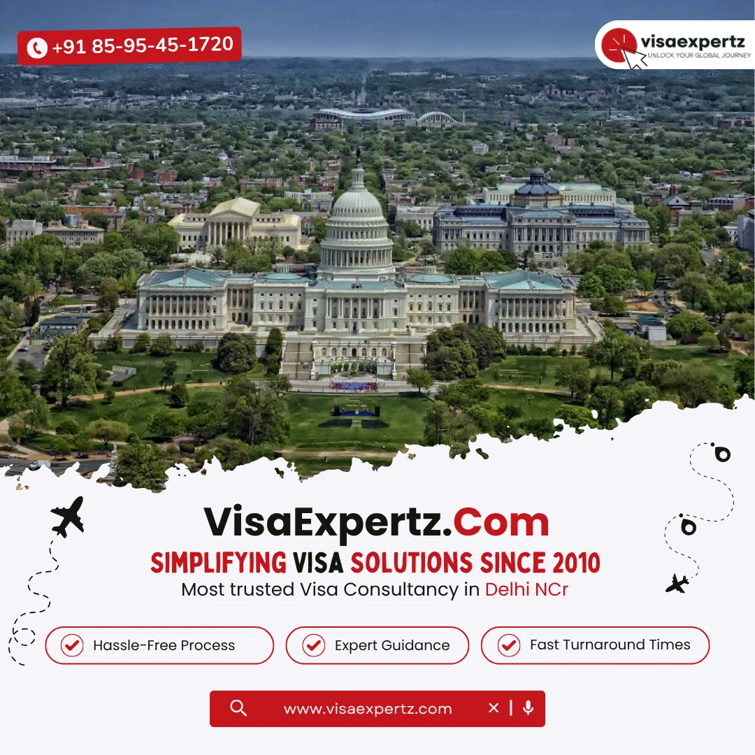 USA visa services