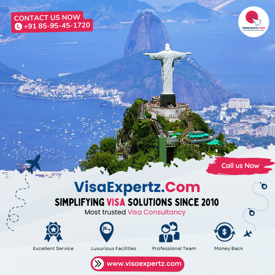 Brazil Visa Agents